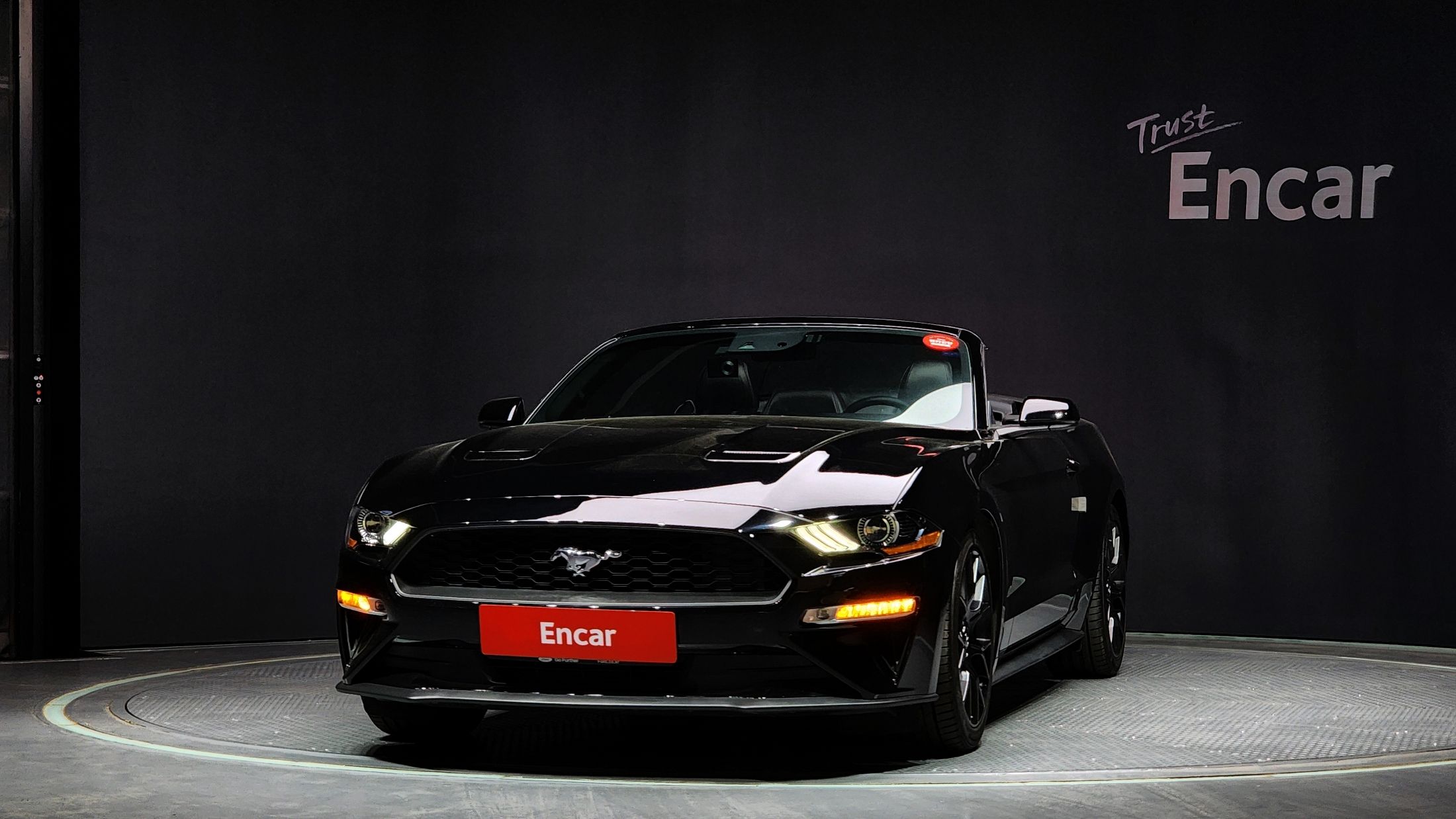 FORD MUSTANG 2019