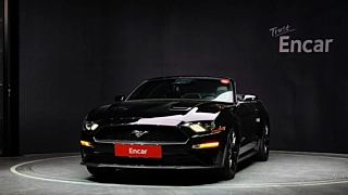 FORD MUSTANG 2019