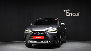 LEXUS NX350H 2023