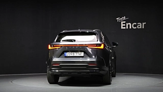 LEXUS NX350H 2023
