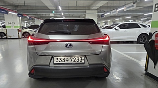 LEXUS UX250H 2019