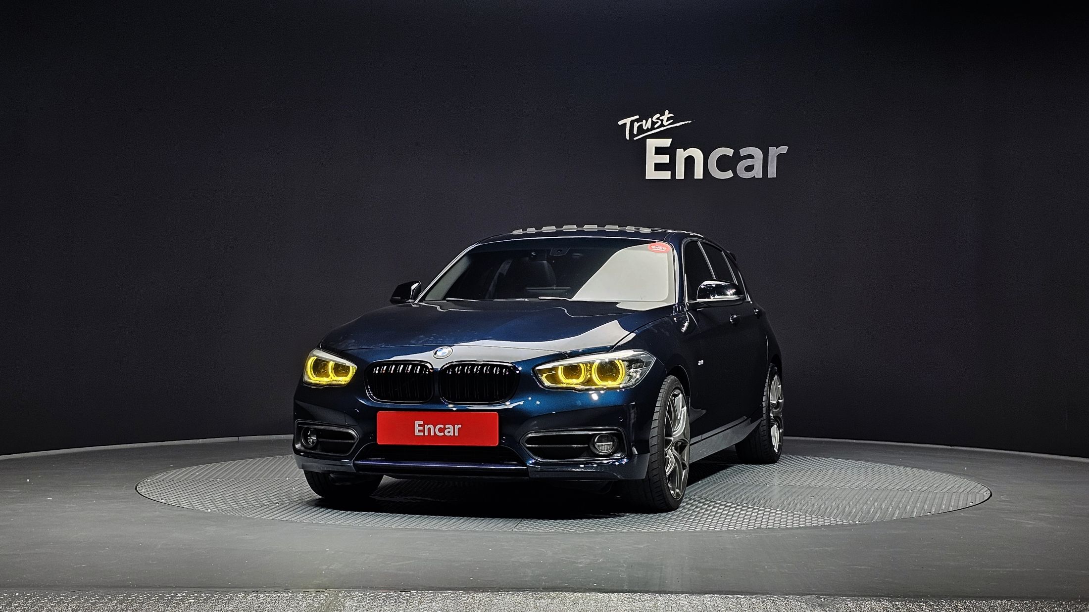 BMW 1-SERIES F20 2017
