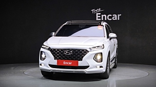 HYUNDAI SANTAFE TM 2019