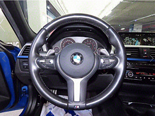 BMW 3-SERIES F30 2016