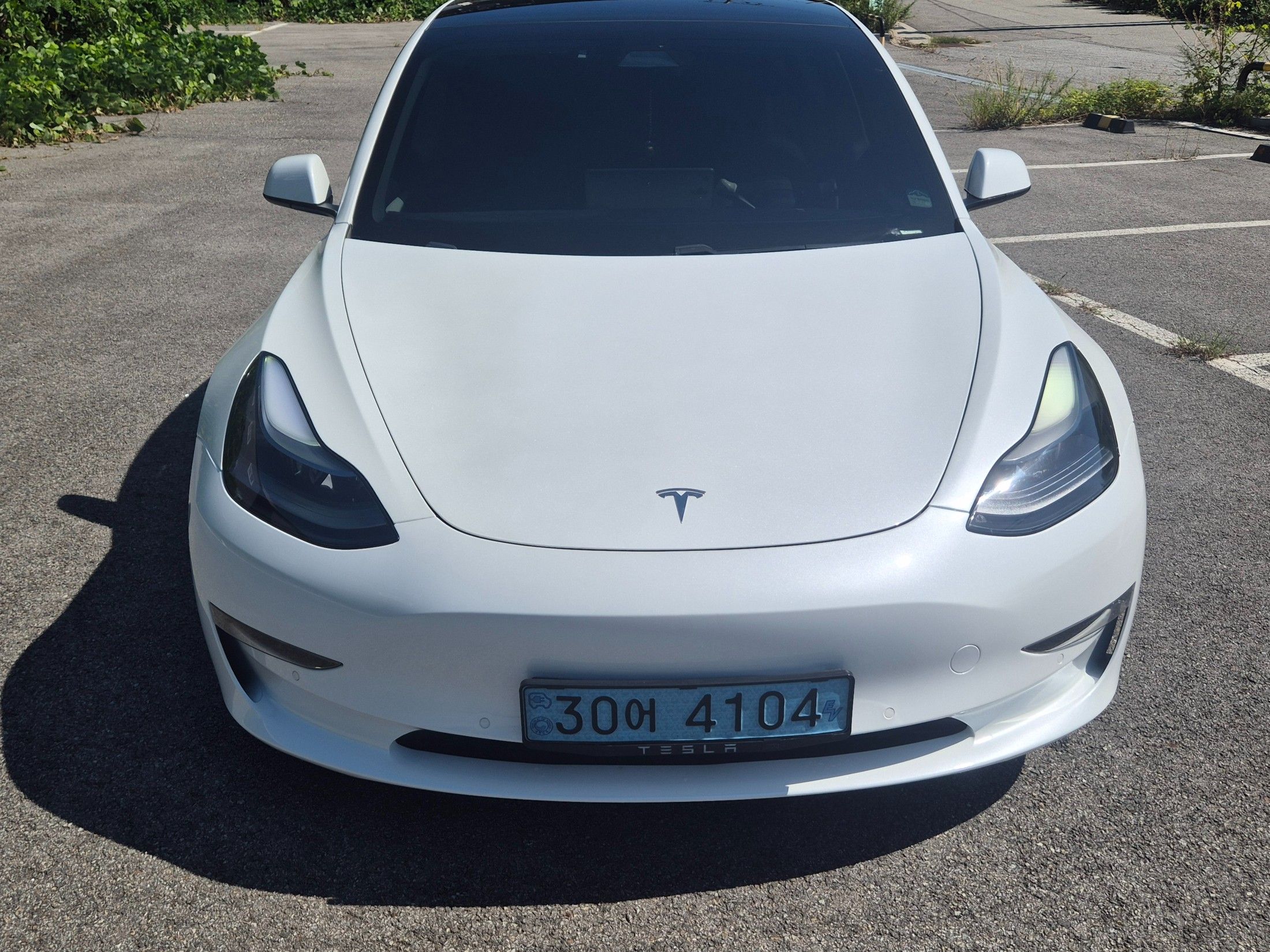 TESLA MODEL 3 2021