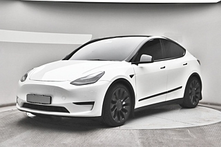 TESLA MODEL Y  Performance 2021