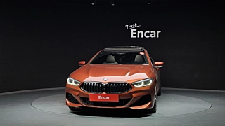 BMW 8-SERIES G15  2020