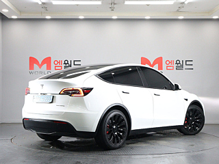 TESLA MODEL Y  2021