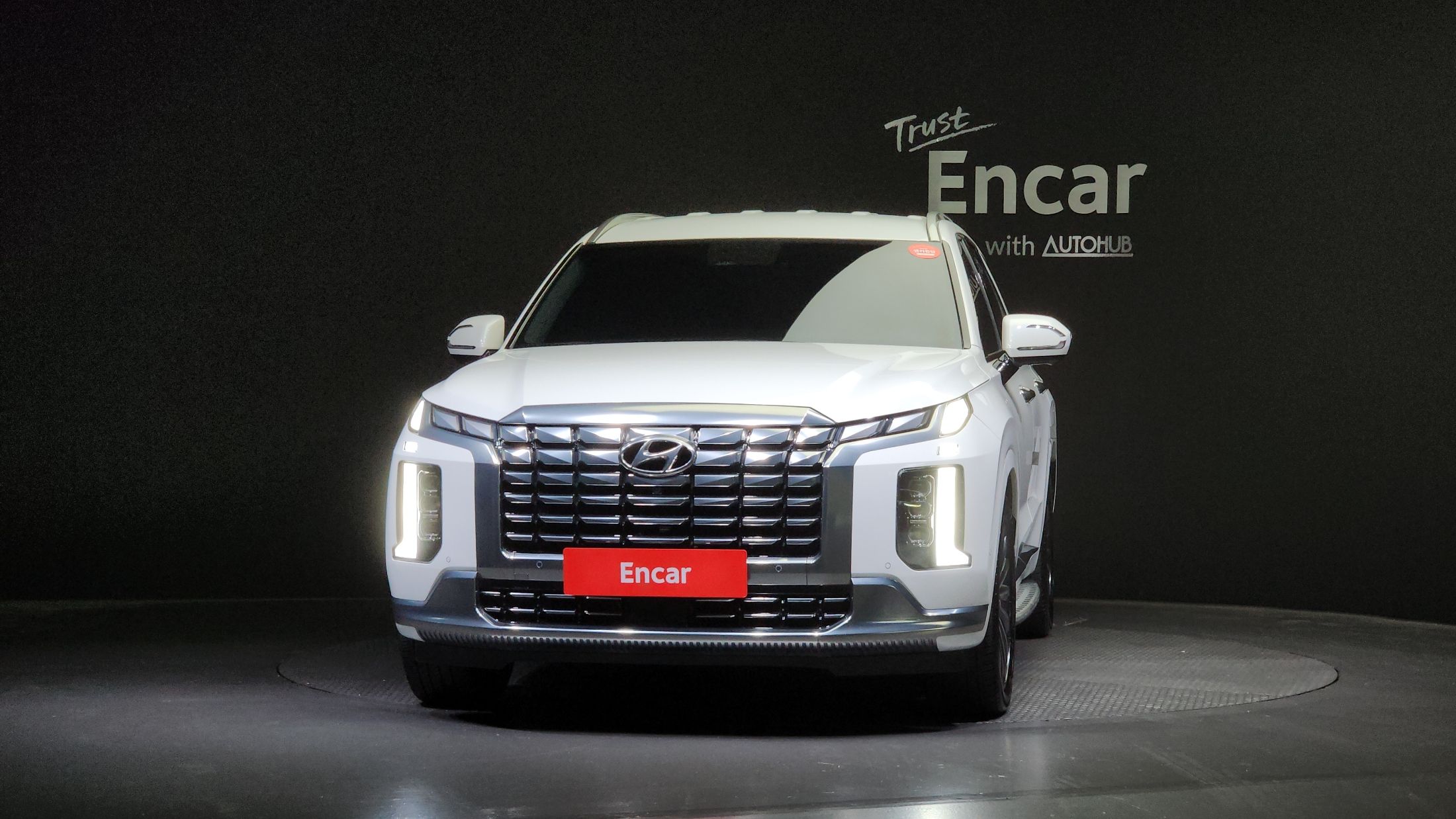 HYUNDAI PALISADE 2024