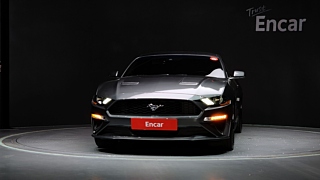 FORD MUSTANG 2019