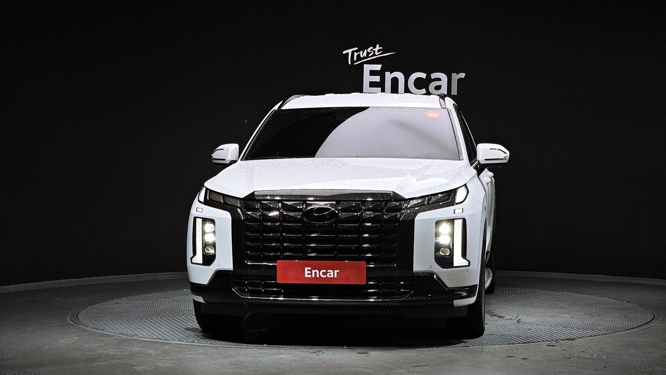 HYUNDAI PALISADE 2024