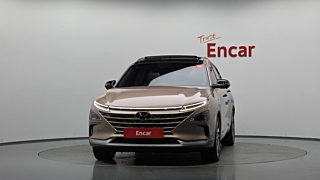 HYUNDAI NEXO 2020