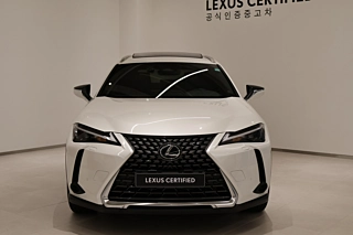 Заказать LEXUS UX300H