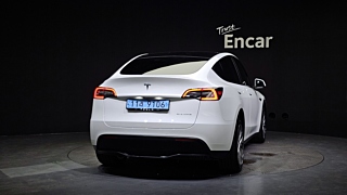 TESLA MODEL Y 2021