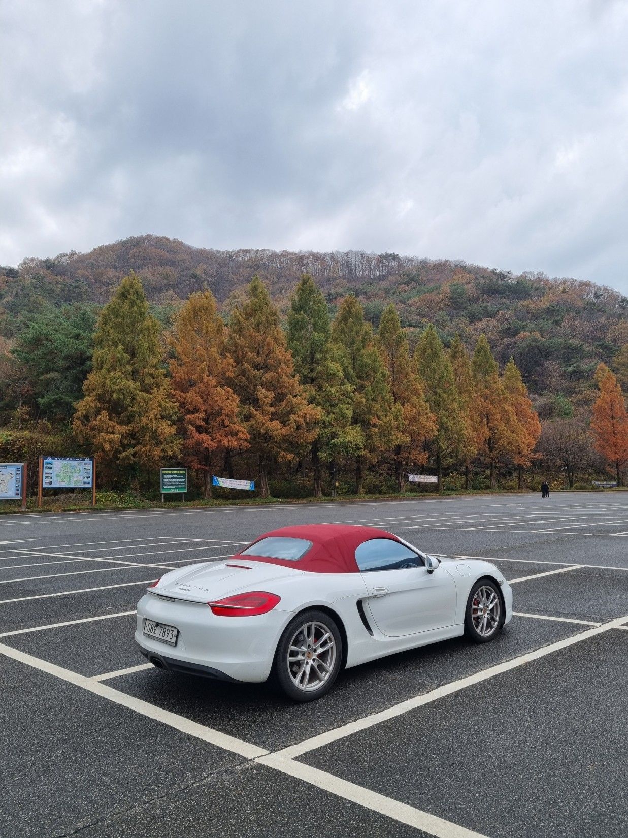 PORSCHE BOXSTER 2013