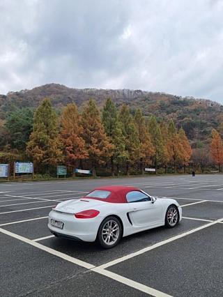 PORSCHE BOXSTER 2013