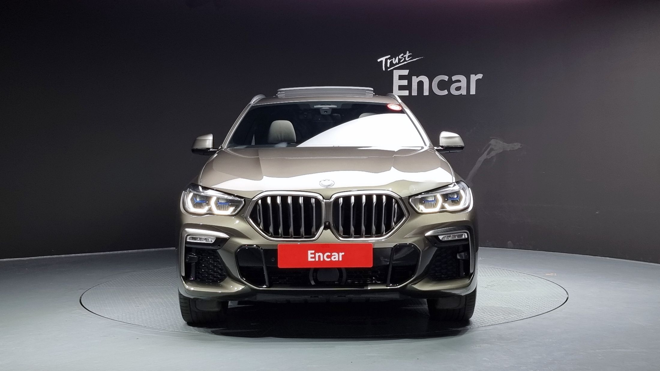 BMW X6 G06 2021