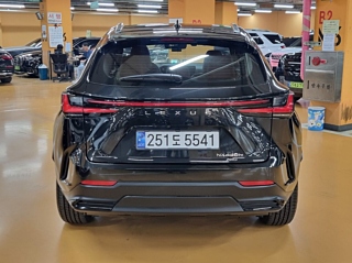 Заказать LEXUS NX450H+