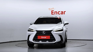 LEXUS NX450H+  2023