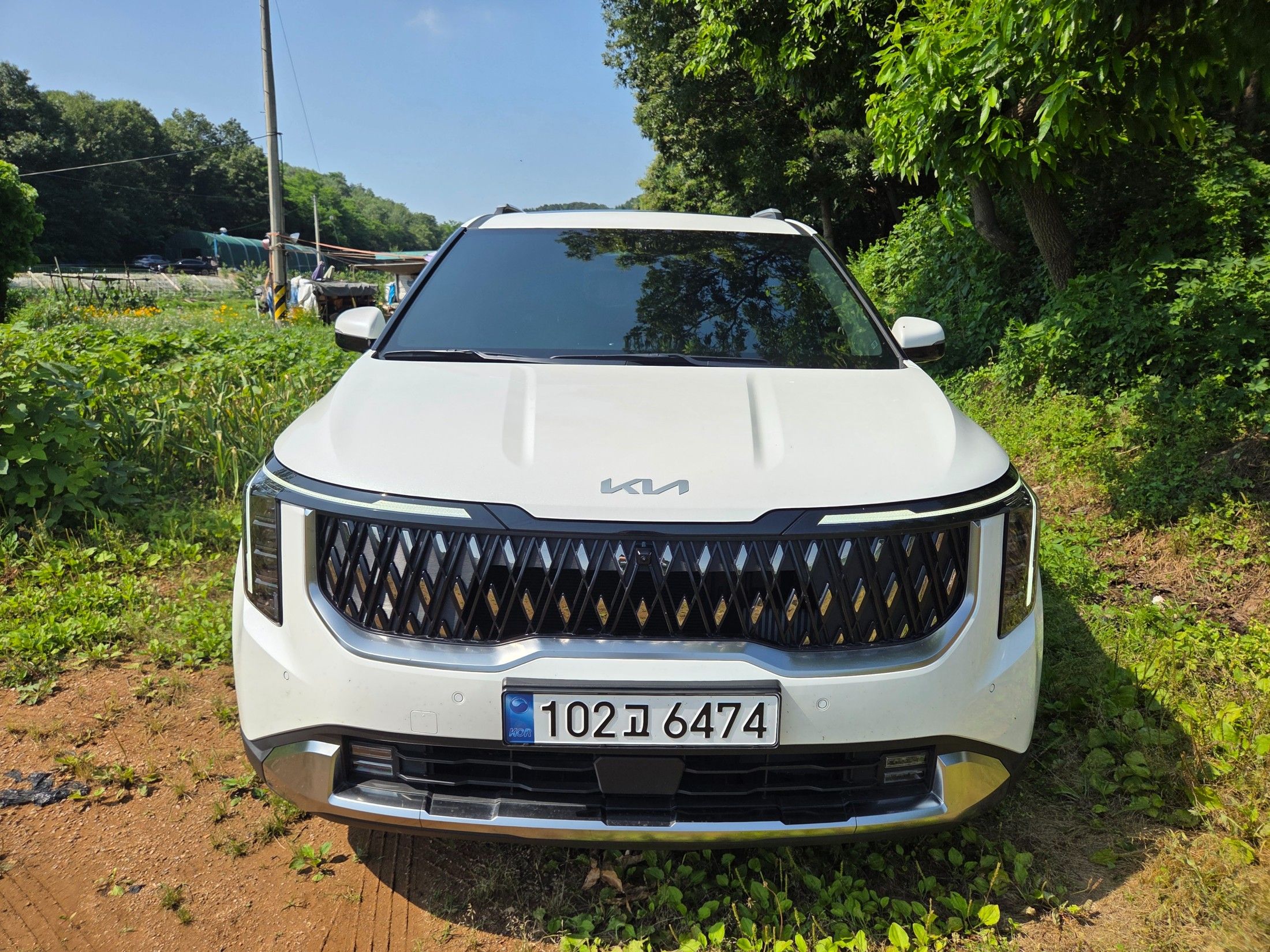 KIA CARNIVAL 2024