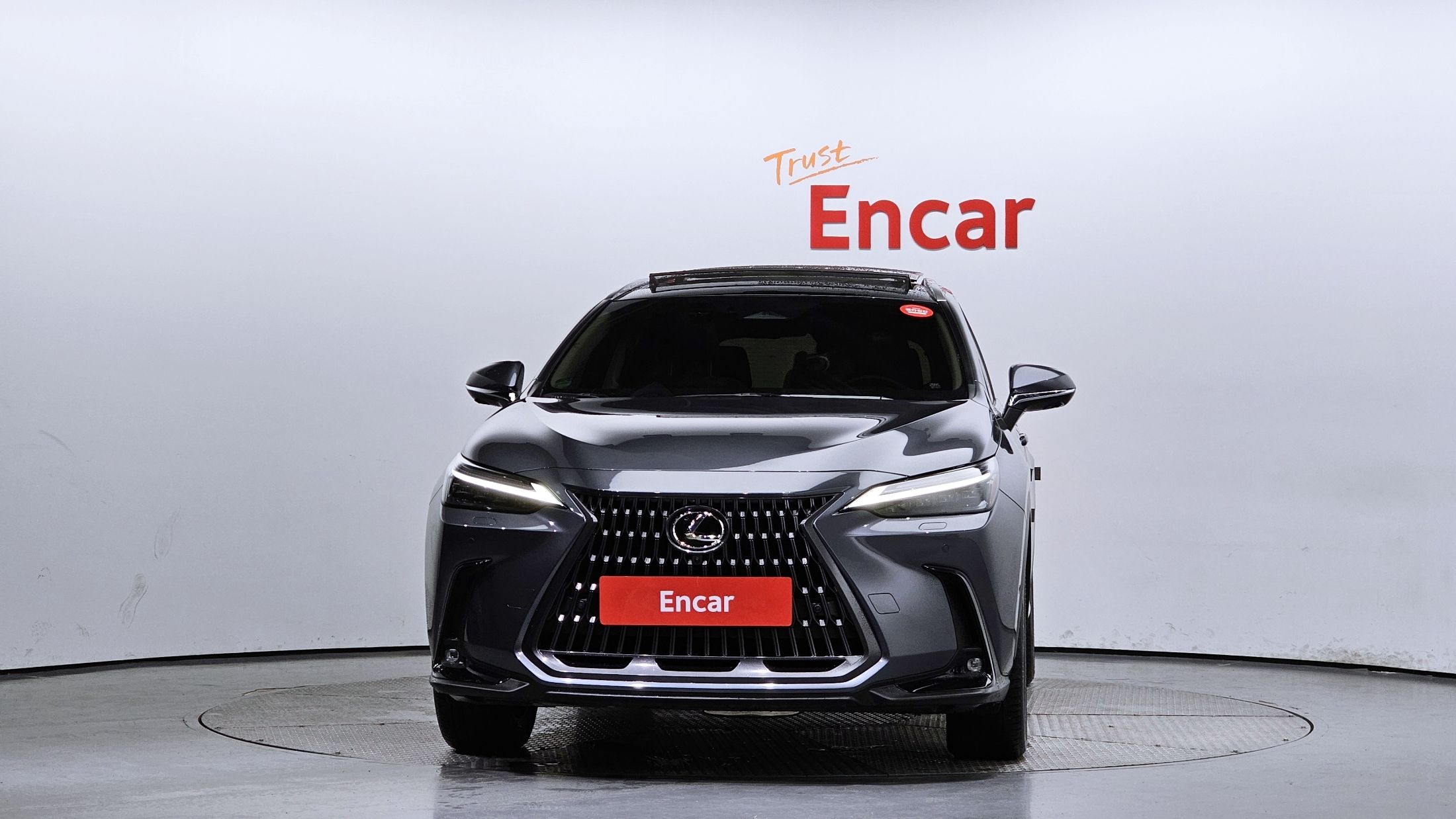 LEXUS NX350H 2023