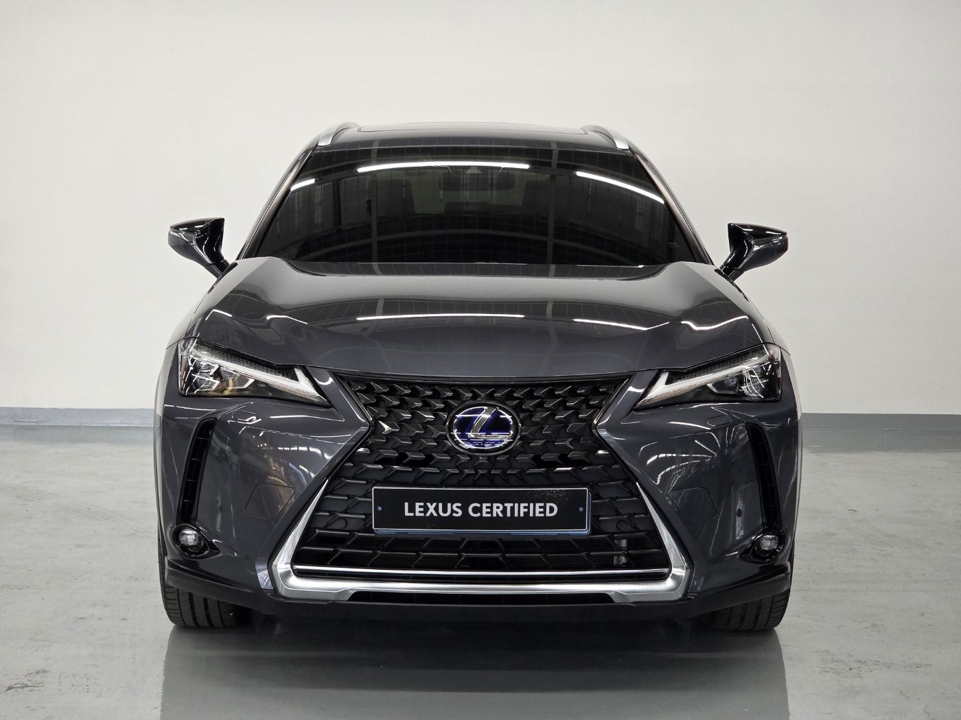 LEXUS UX300E 2022