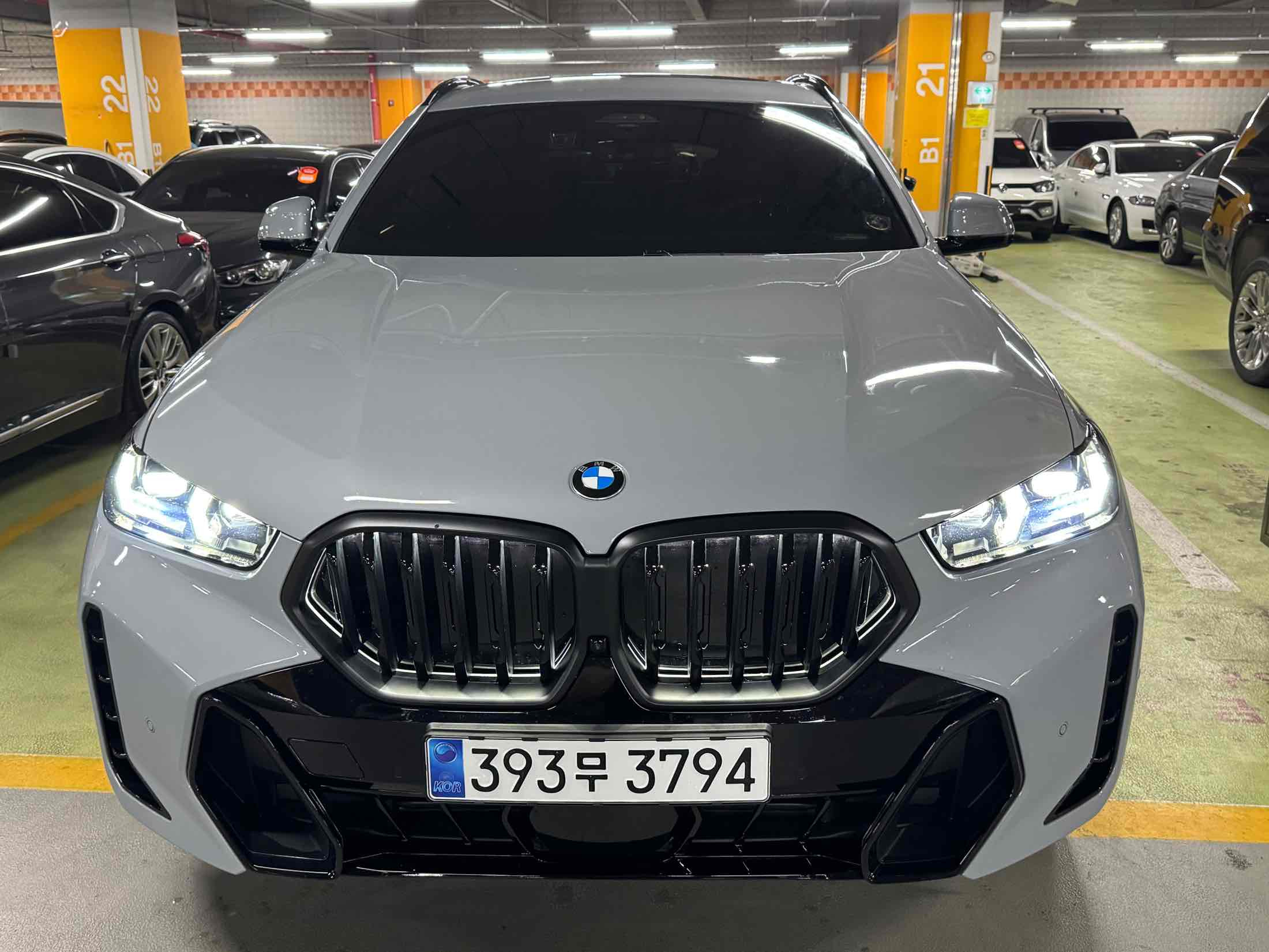 BMW X6 G06