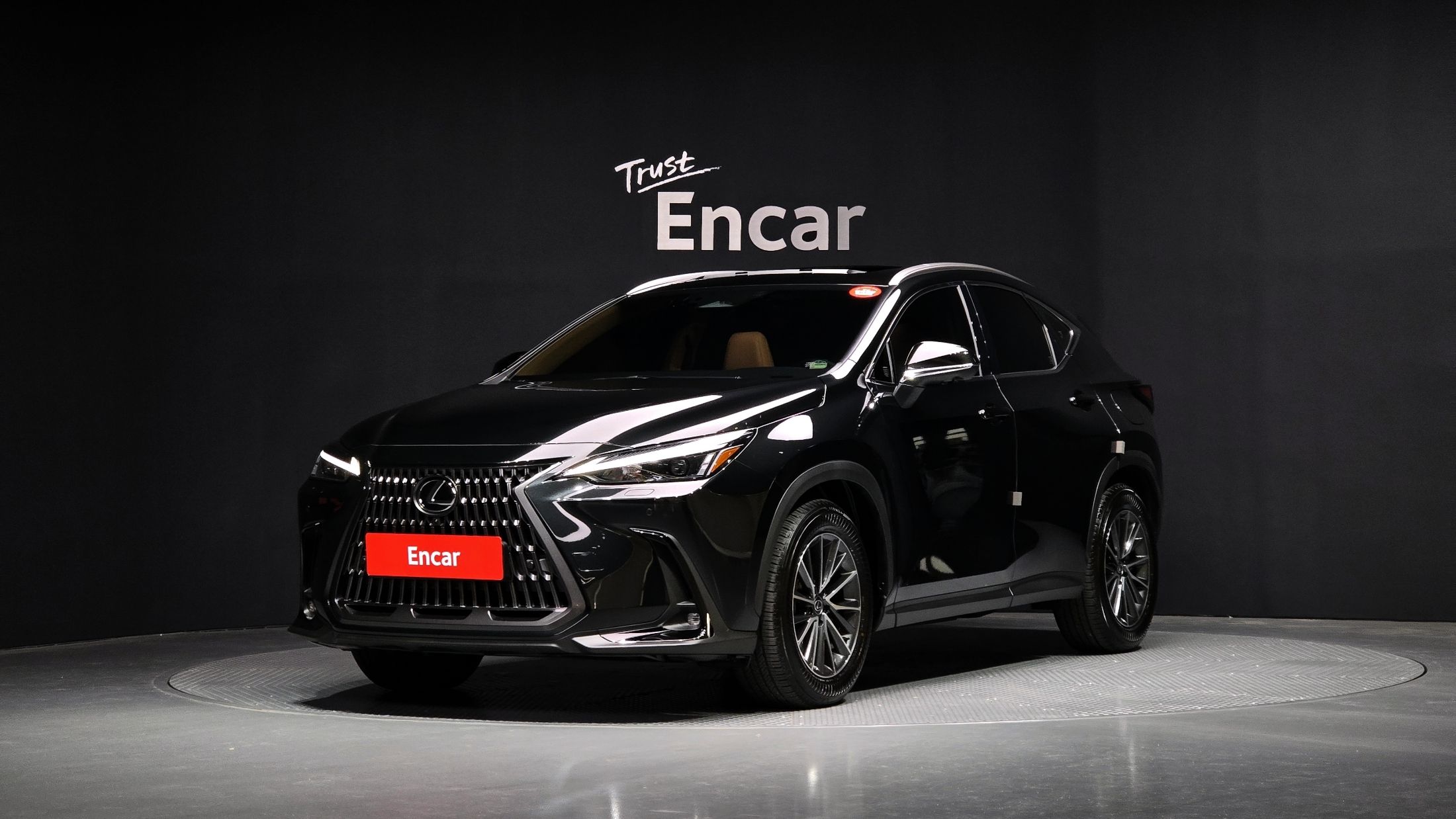 LEXUS NX450H+ 2024