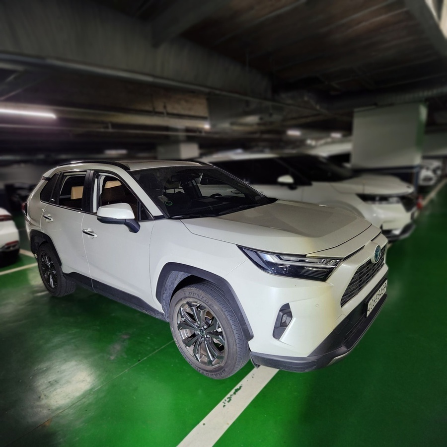 TOYOTA RAV4 2022