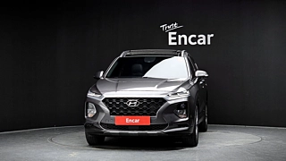 HYUNDAI SANTAFE TM 2019