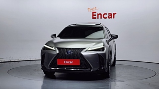 LEXUS UX250H 2020