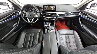BMW 5-SERIES G30 2019
