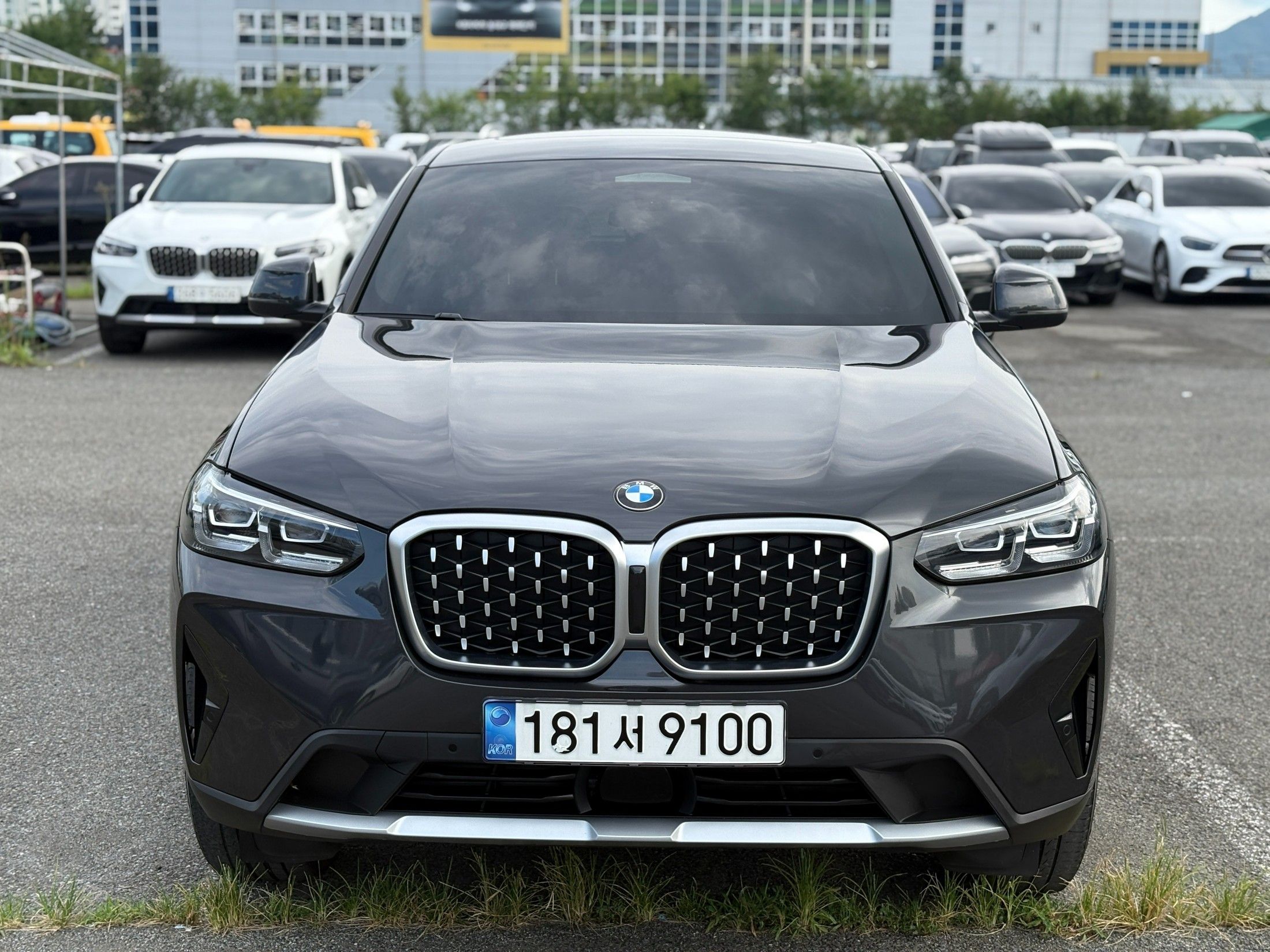 BMW X4 G02 2022