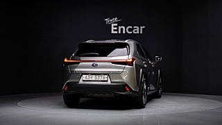LEXUS UX250H 2019