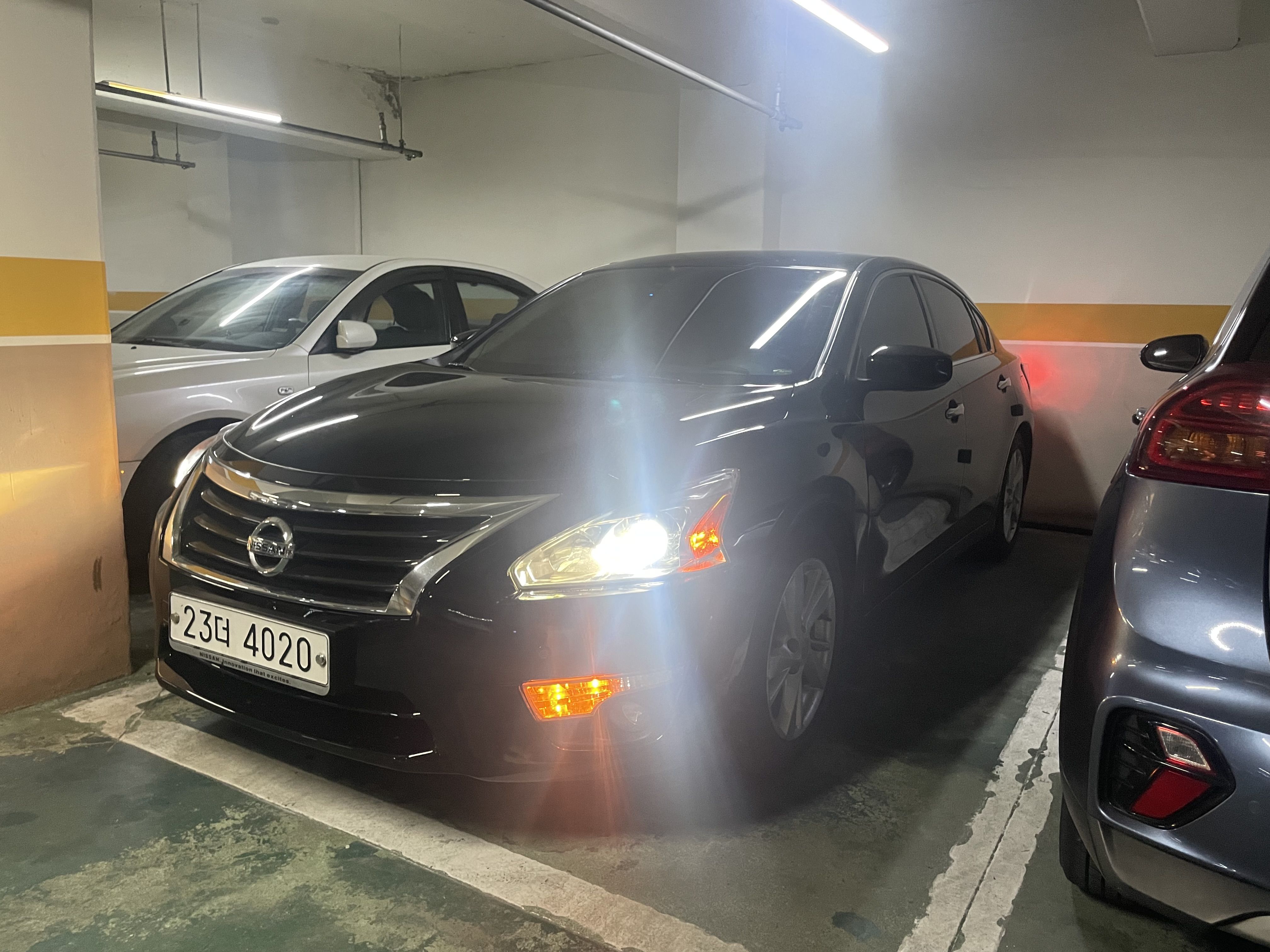 NISSAN ALTIMA