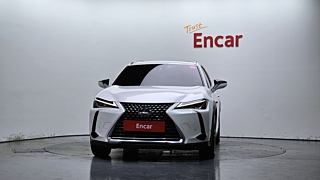 LEXUS UX250H 2019