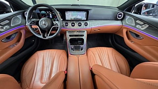 MERCEDES BENZ CLS-CLASS C257 2022