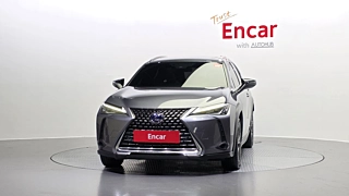 LEXUS UX250H 2019