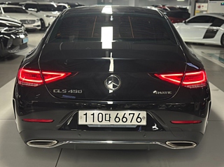 MERCEDES BENZ CLS-CLASS C257 2019