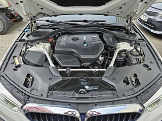BMW 5-SERIES G30 2019