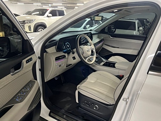 HYUNDAI PALISADE  Diesel 2.2 4WD 2023