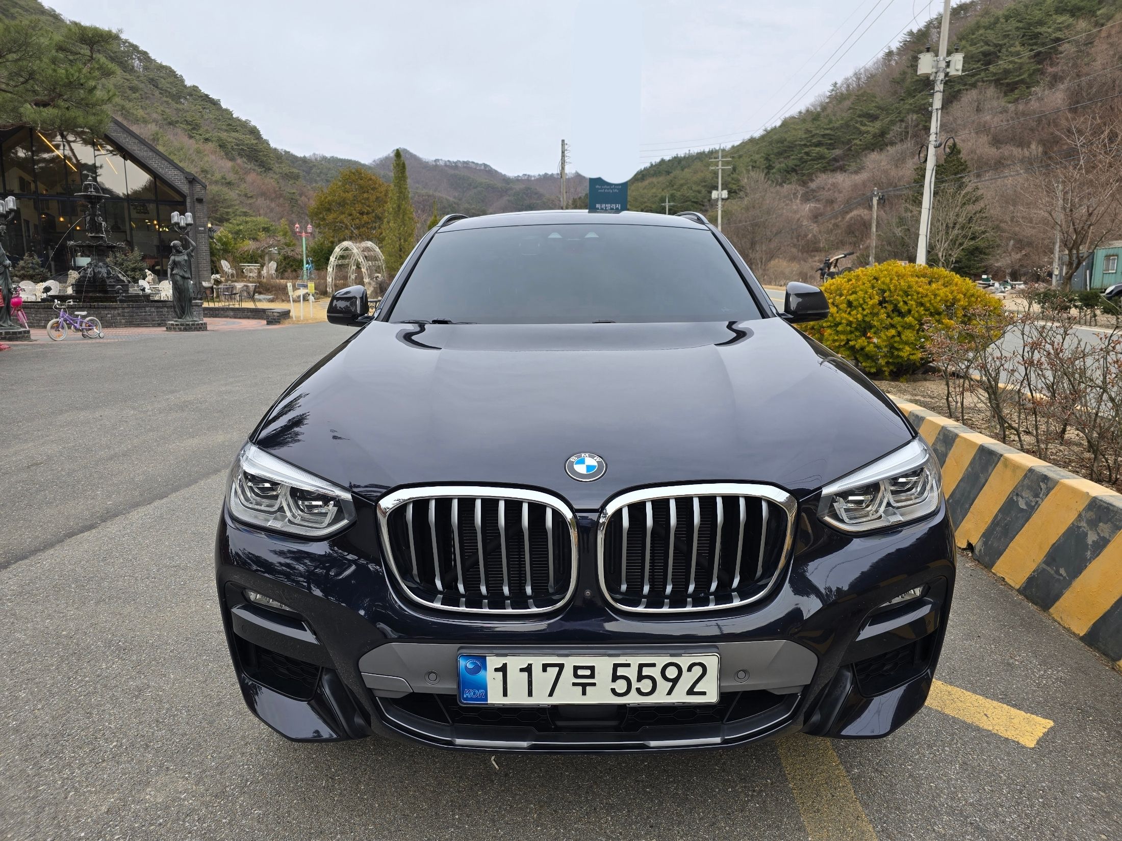 BMW X4 G02 2021