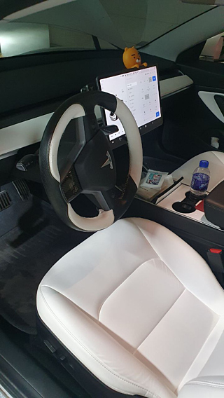 TESLA MODEL 3 2020