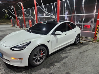 TESLA MODEL 3 2021