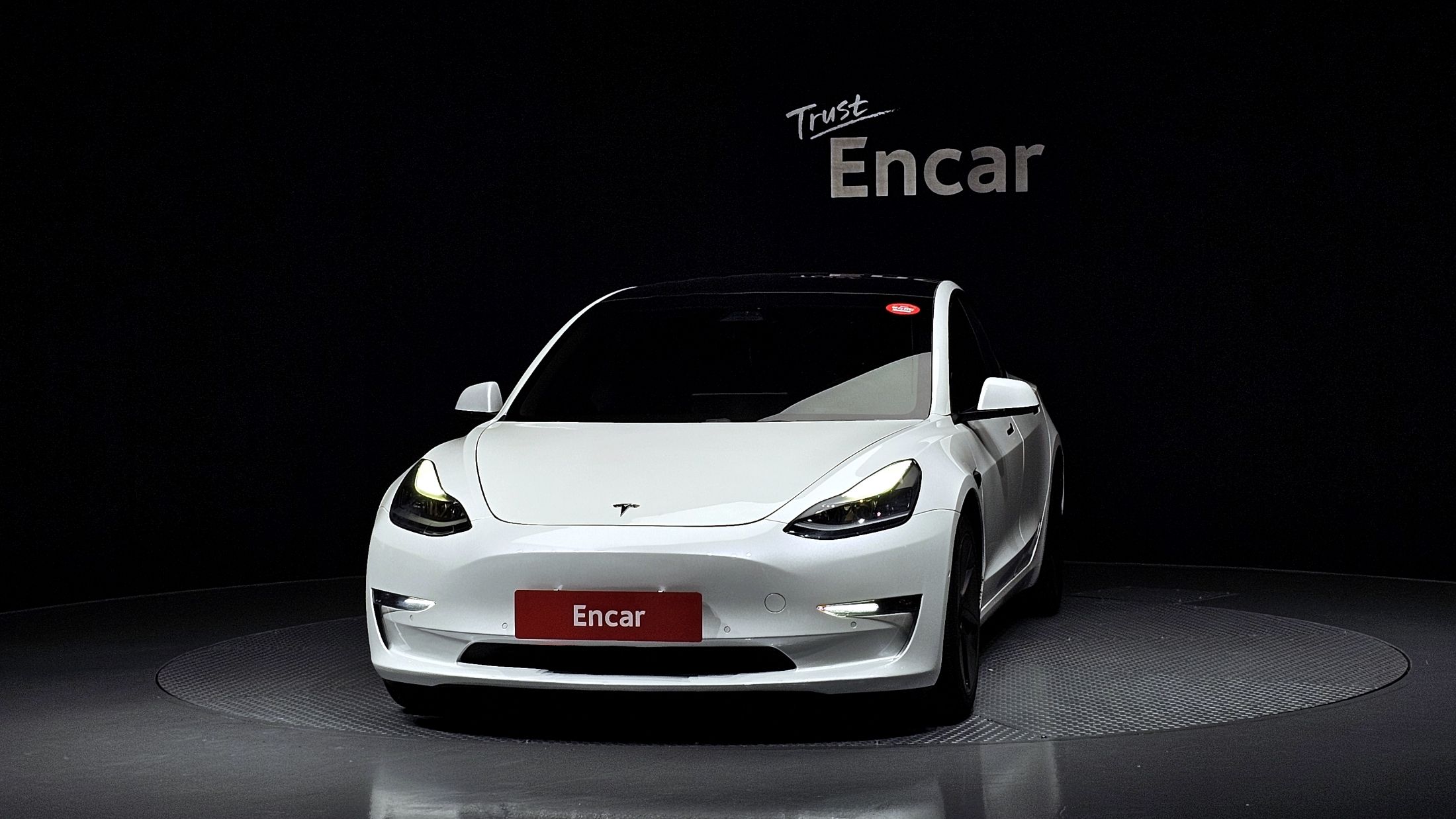 TESLA MODEL 3 2021