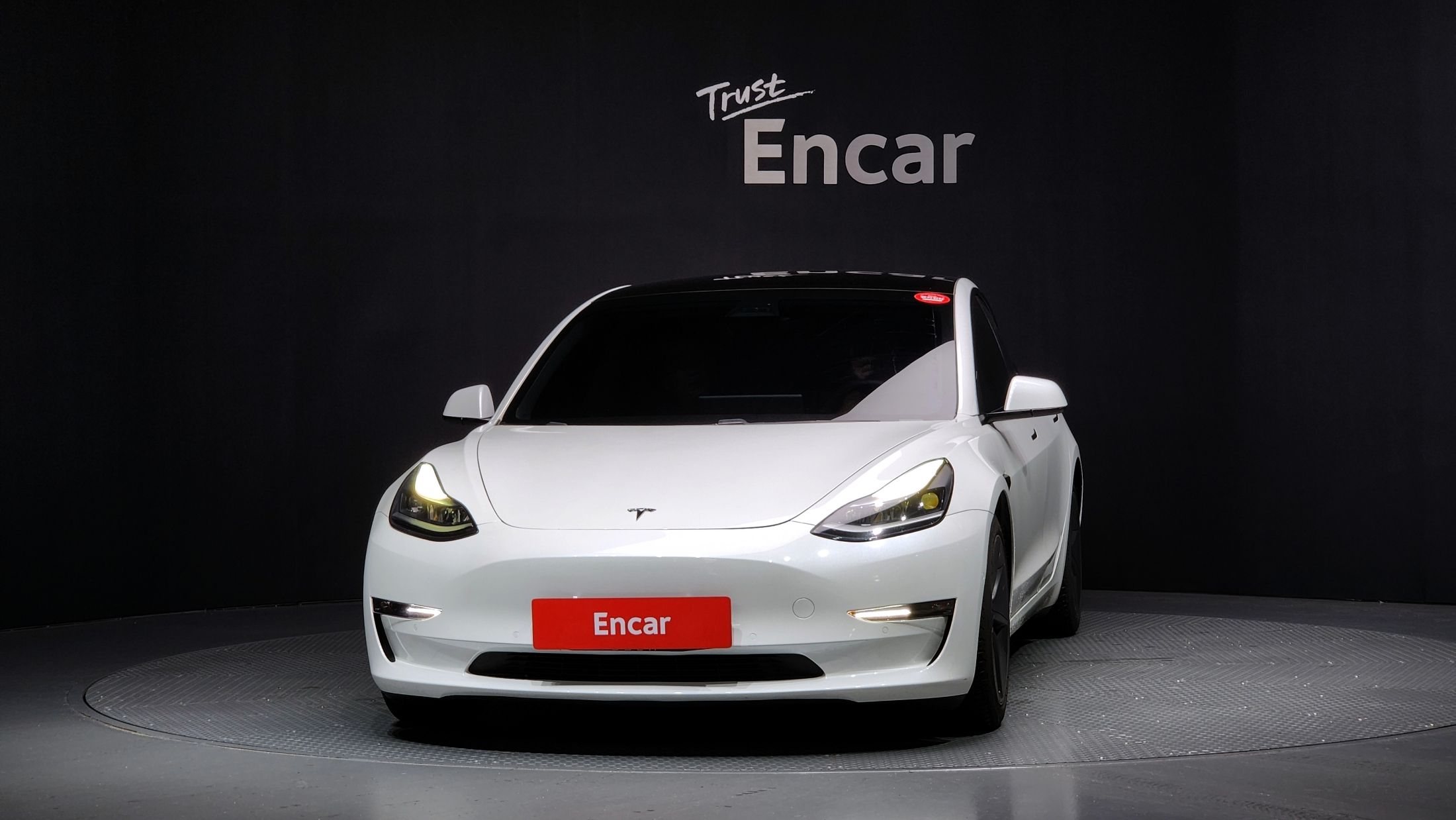 TESLA MODEL 3 2021