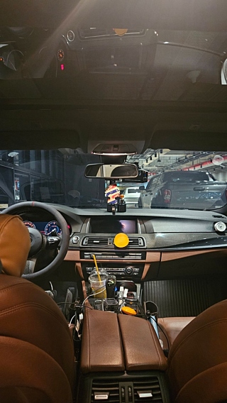 BMW 5-SERIES F10 2016
