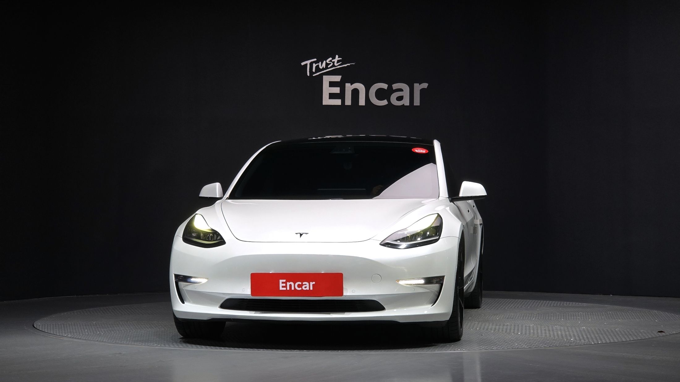 TESLA MODEL 3 2021