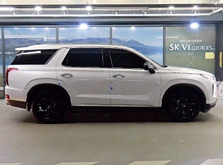 HYUNDAI PALISADE 2019