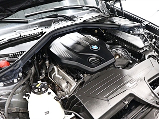 BMW 3-SERIES GT F34 2020